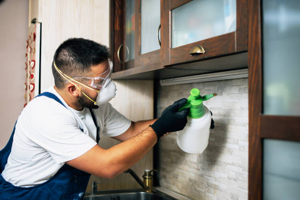 Best Wildlife Control Services  in New Albany, IN
