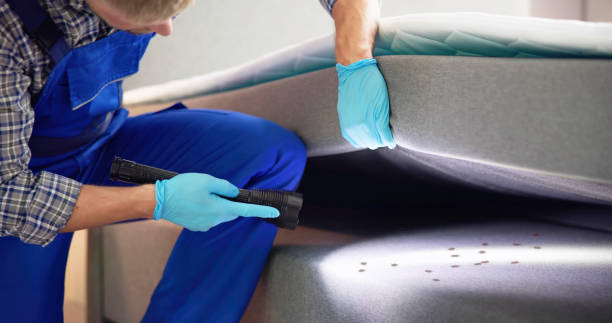 Best Ant Control Services  in New Albany, IN