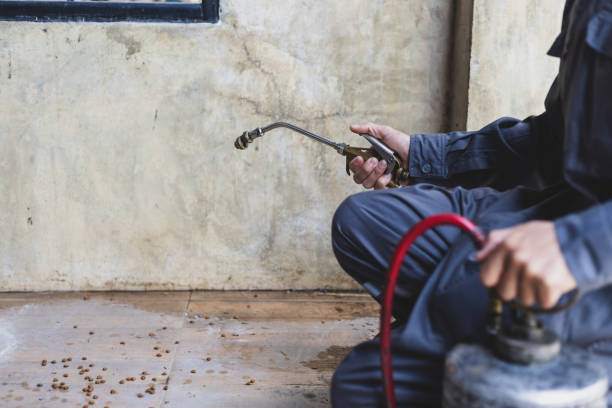 Best Affordable Pest Control Services  in New Albany, IN